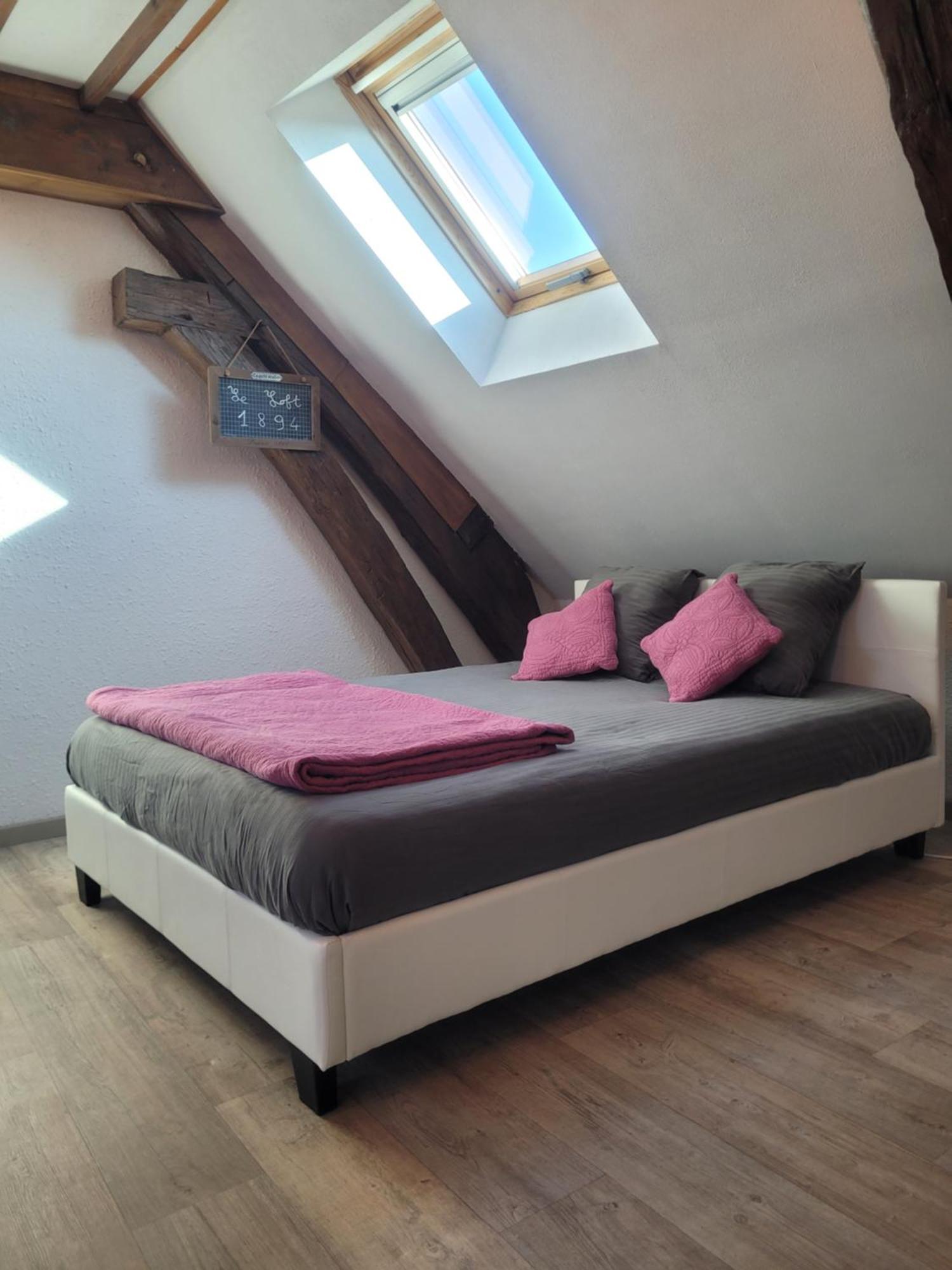 Apartment Au 1894 Loft *