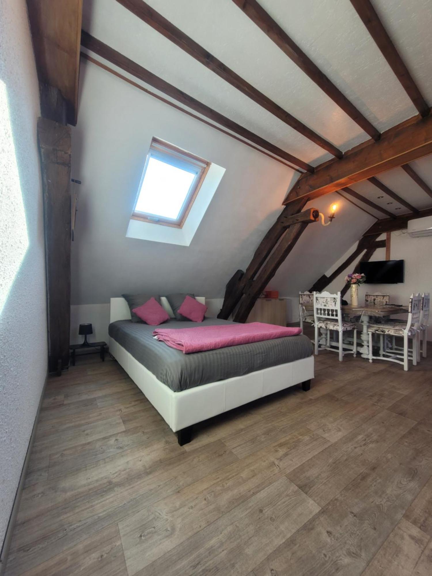 Au 1894 Loft Apartment Avize